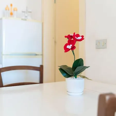 La Casa Dell'acqua 公寓 *
